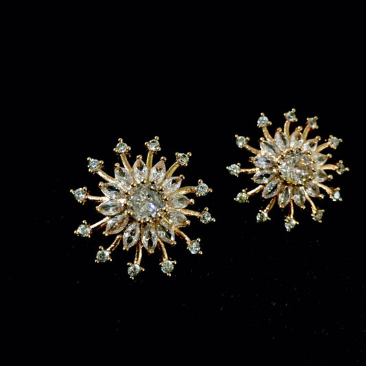 Zircon Earrings 4577743